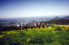 Australia-NSW-Snowy Mountains Lodge Ride